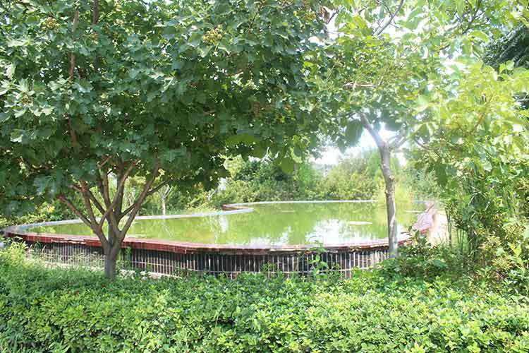 MK体育(国际)官方网站-MK SPORTS机械厂区环境优美